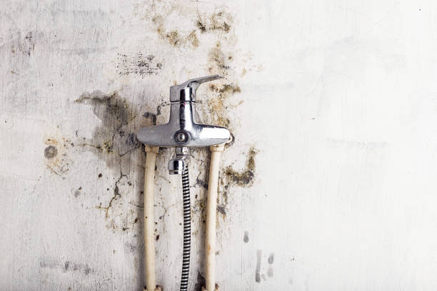 Best Water Damage Restoration  in Thedral City, CA