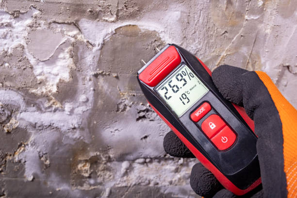 Best Emergency Mold Removal  in Thedral City, CA