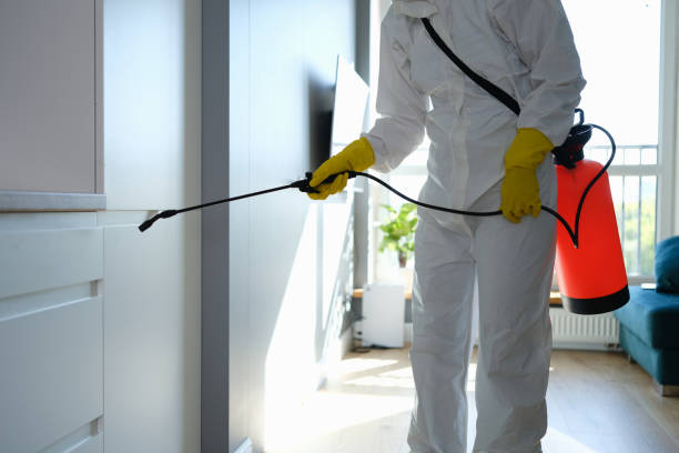 Attic Mold Removal in Cathedral City, CA