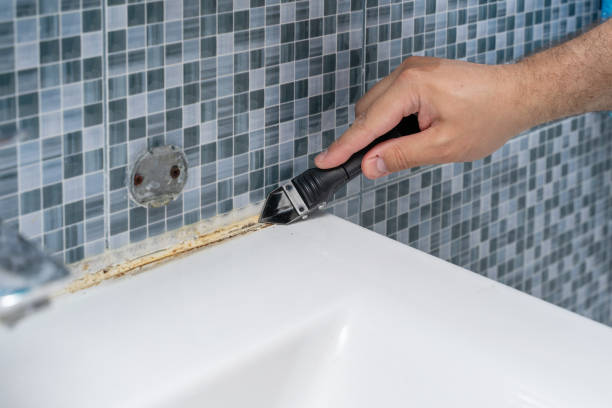 Best Commercial Mold Removal  in Thedral City, CA