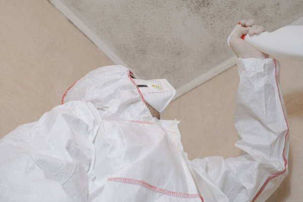 Water Damage Restoration in Cathedral City, CA