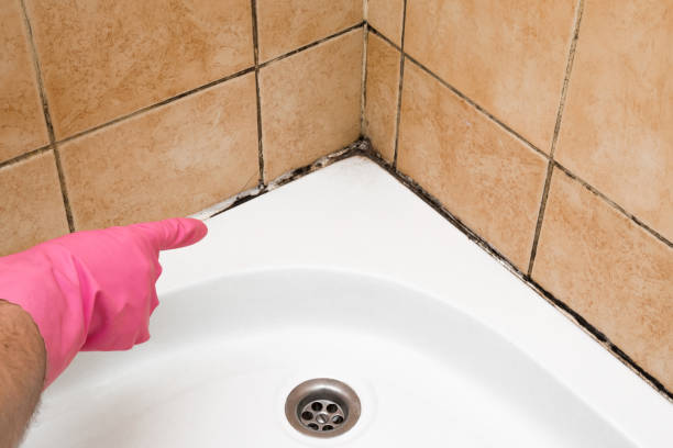 Best Attic Mold Removal  in Thedral City, CA